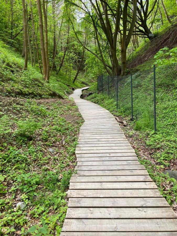 Zielone Rozewie Park Bagian luar foto
