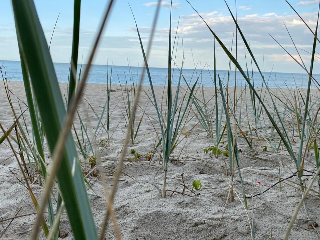 Zielone Rozewie Park Bagian luar foto